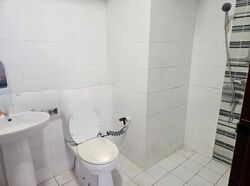 Blk 485 Segar Grove (Bukit Panjang), HDB 3 Rooms #504576471